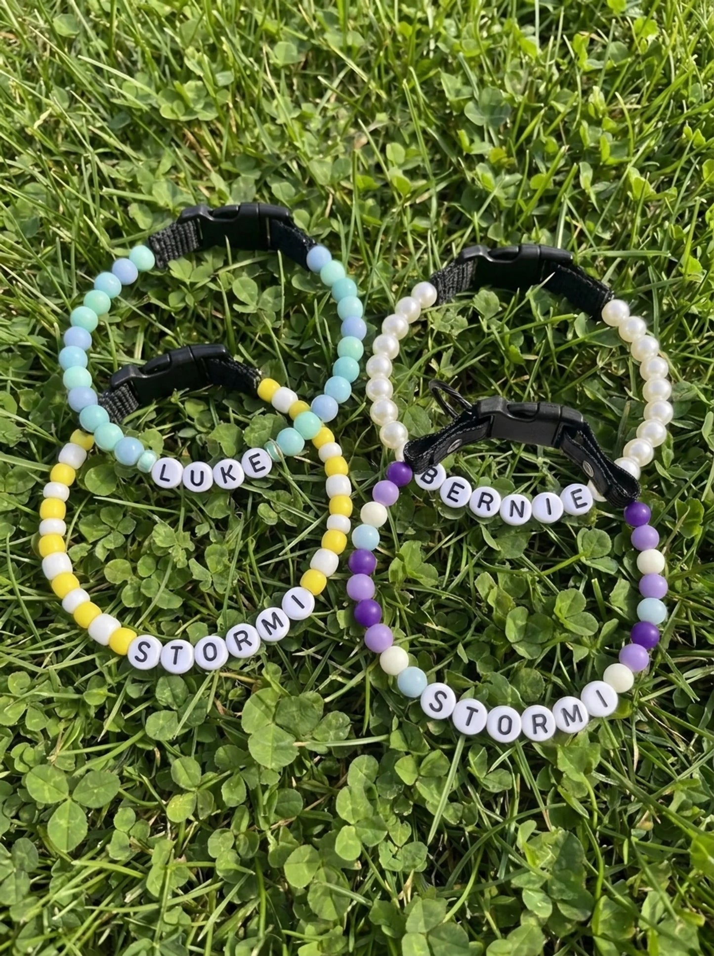 Personalized Dog Collar